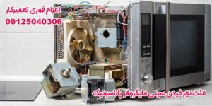 علت نچرخیدن سینی مایکروفر پاناسونیک