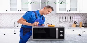 نمایندگی تعمیرات مایکروفر پاناسونیک در قیطریه