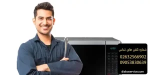 نمایندگی تعمیرات مایکروفر پاناسونیک در ولنجک