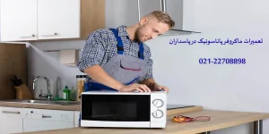 نمایندگی تعمیرات مایکروفر پاناسونیک در پاسداران