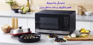 نمایندگی تعمیرات پاناسونیک